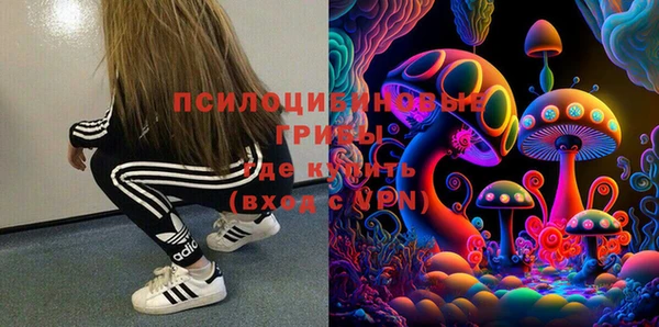 соль ск Саяногорск
