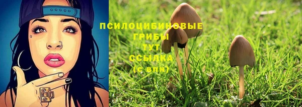 соль ск Саяногорск