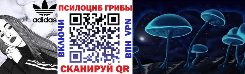 Псилоцибиновые грибы Psilocybe  omg ТОР  Урень 